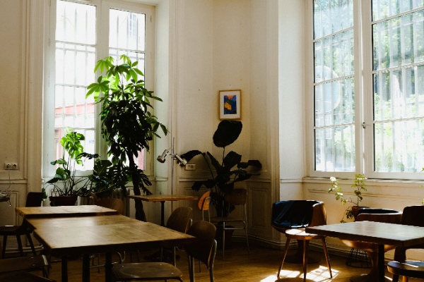 lumiere naturelle appartement